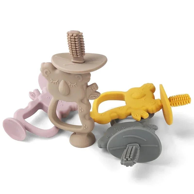 anneau dentition bébé koala couleurs