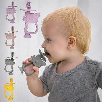 anneau dentition bébé koala présentation