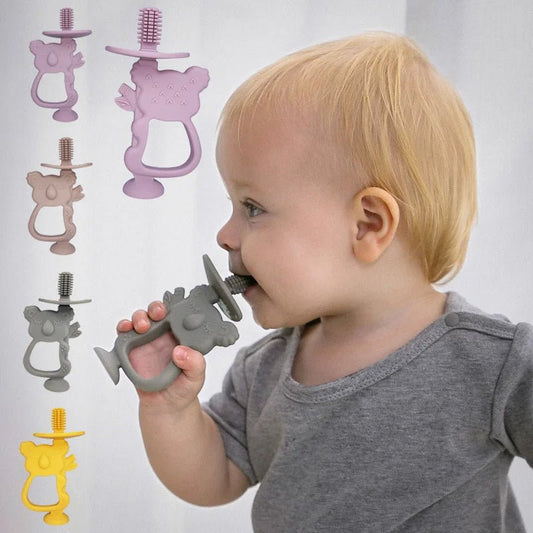 anneau dentition bébé koala présentation
