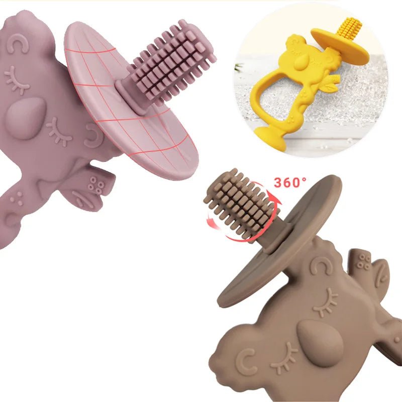 anneau dentition bébé koala rotation 360
